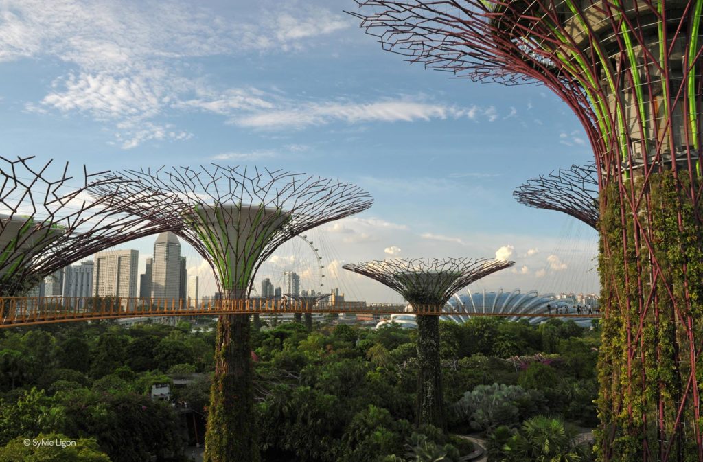 Singapour - Garden