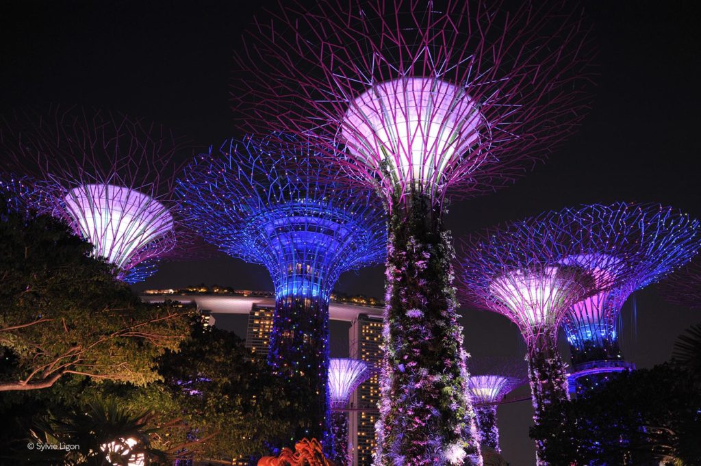 Singapour - Arbres de nuit